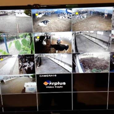 Çifliğinizdeki Hayvanlarınızı Gözünüzün Önünden Ayırmayın