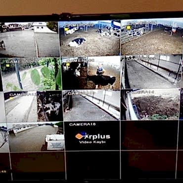 Çifliğinizdeki Hayvanlarınızı Gözünüzün Önünden Ayırmayın